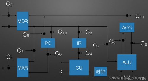 計算機組成原理 CPU如何像西伯利亞大草原的狼一樣高效工作